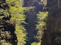 -野三坡百里峡景区