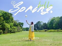 -南宁良凤江国家森林公园