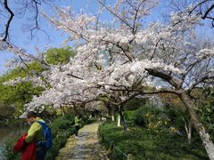 -西湖外事游船(花港观鱼码头)