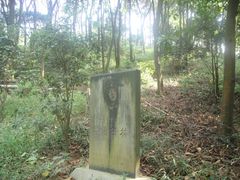 -广州市帽峰山景区