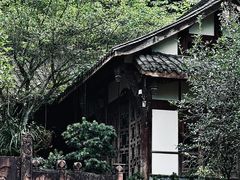 -凤栖山