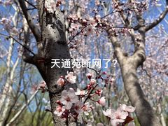 -北京华联购物中心(天通苑店)