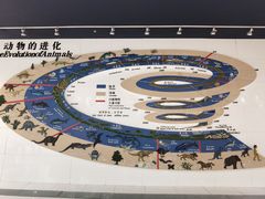 -昆明动物博物馆