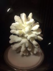 点击看大图 -奈瑞儿美养院·身体调养·美颜