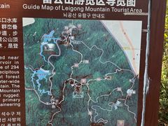 -大屏嶂森林公园