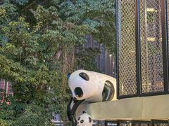 -嫩芽 ·地道重庆菜(十八梯露台夜景店)