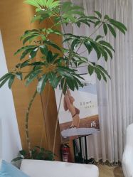 -HEYAN荷妍专业脱毛连锁机构