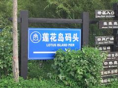 -呼兰河口湿地公园