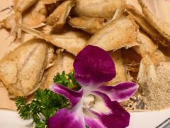 -鸭绿江海鲜烧烤大排档(杏林街店)