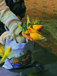 -酷嗒动物文化乐园(cutezoo西溪乐天城店)