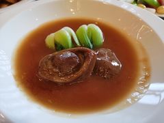蚝皇原只八头南非鲍鱼-北京四季酒店·采逸轩