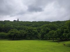 -苏州上方山国家森林公园