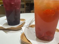 -滚猫咖啡·猫咖·猫友好撸猫(未来城店)