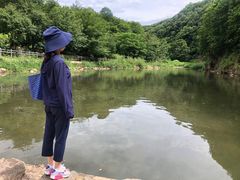-三块石国家森林公园