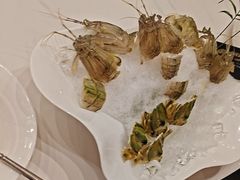 -曲水兰亭·兰亭·宴(上海虹桥店)