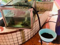-稻香村鱼庄