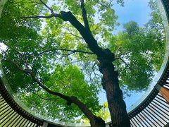 -燕晗山郊野公园