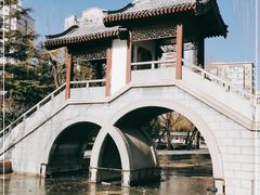 -团结湖公园