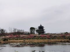 -上海海湾国家森林公园