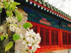 -北京国子监胡同