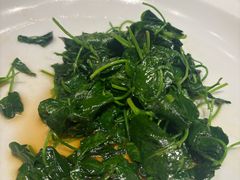 -老吉堂上海本帮菜(望京万象汇店)