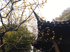 -惠山古镇·寄畅园