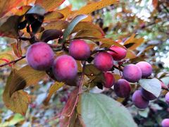 -杭州师范大学(下沙校区)