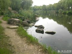 -新江湾城公园