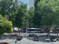 -巴陵全鱼席(湖南老字号汴河街店 )