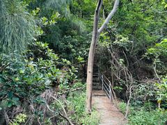 -草庵摩尼教遗址公园