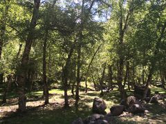 -互助北山国家地质公园漂流