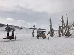 -新疆那拉提国家旅游度假区