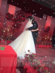 -保定金沙芝柏婚礼策划