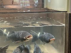 -上名堂·鱼头好吃(体育场路店)