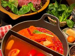 -大龙燚·旷野鲜火锅(广州首店)