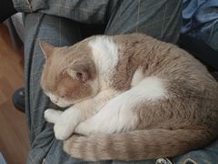 -常乐·对症推拿(来福士第43分店)