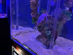 -太平洋海底世界