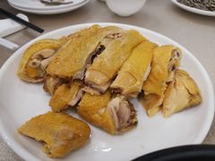 白切本鸡-群乐饭店(滨安路店)