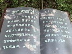 -茅兰沟国家森林公园