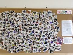 -美联众合动物医院·24h转诊中心