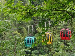 -庐山风景区花径公园