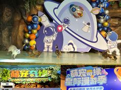 -萌宠奇缘(荣鼎店)