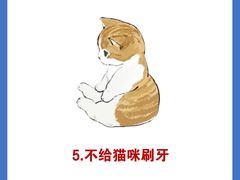 -东方名猫馆·英短金渐层布偶猫舍(环线广场1号楼店)