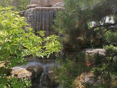 -武清南湖绿博园