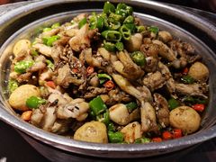 -蛙小侠(卓悦里店)