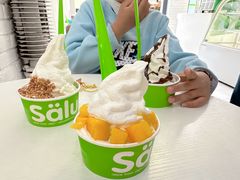 -Salud撒露欧洲冻酸奶(798艺术区店)