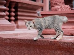 -柬埔寨国家博物馆