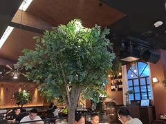 -同仁四季椰子鸡(宝安壹方城店)