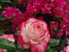 -人民公园(罗湖区)