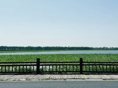 -卧龙湖